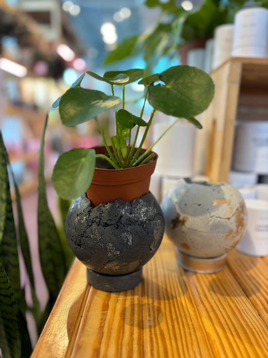 Moon Planter Pot 5” | Sphere Concrete Planter | Ball Planter: Light Gray & Gold / Hole