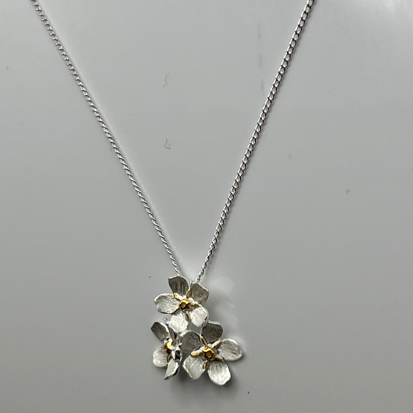 Forget Me Not Cluster