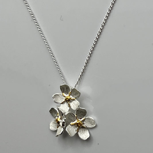 Forget Me Not Cluster