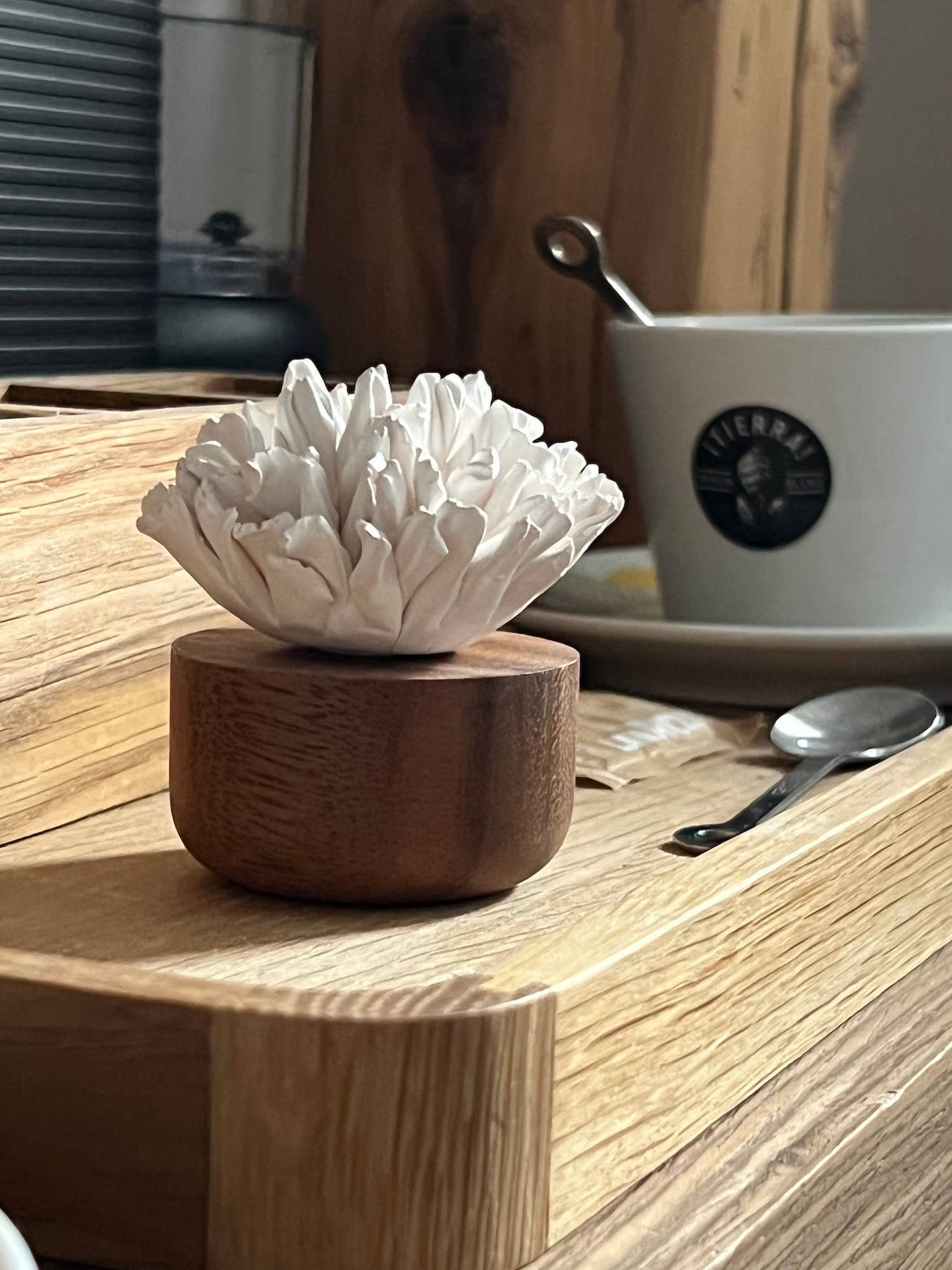 Japanese Carnation Diffuser