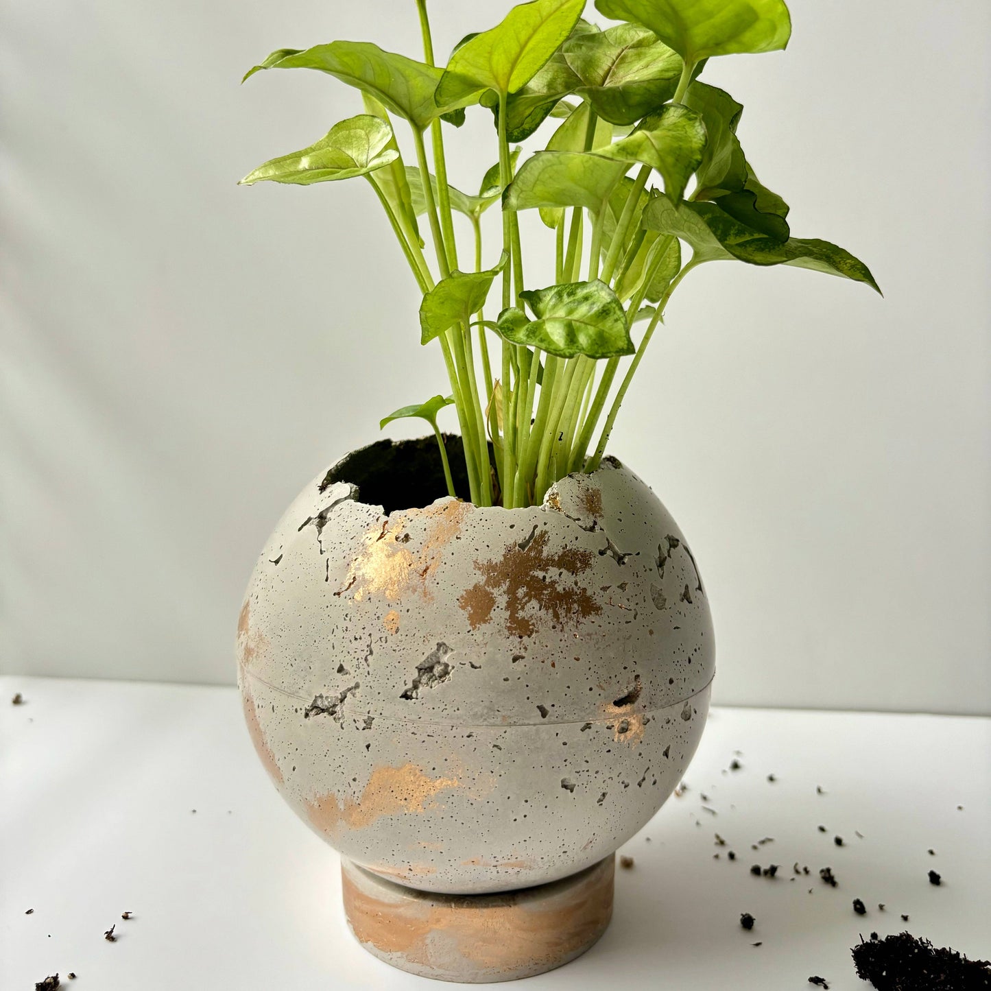 Moon Planter Pot 5” | Sphere Concrete Planter | Ball Planter: Light Gray & Gold / Hole