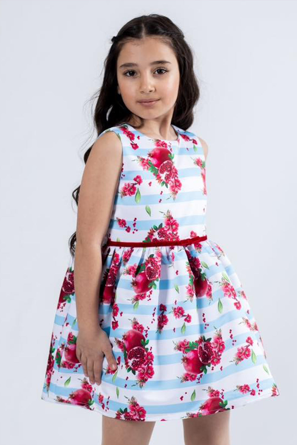 Blue Stripe Pomegranate Dress
