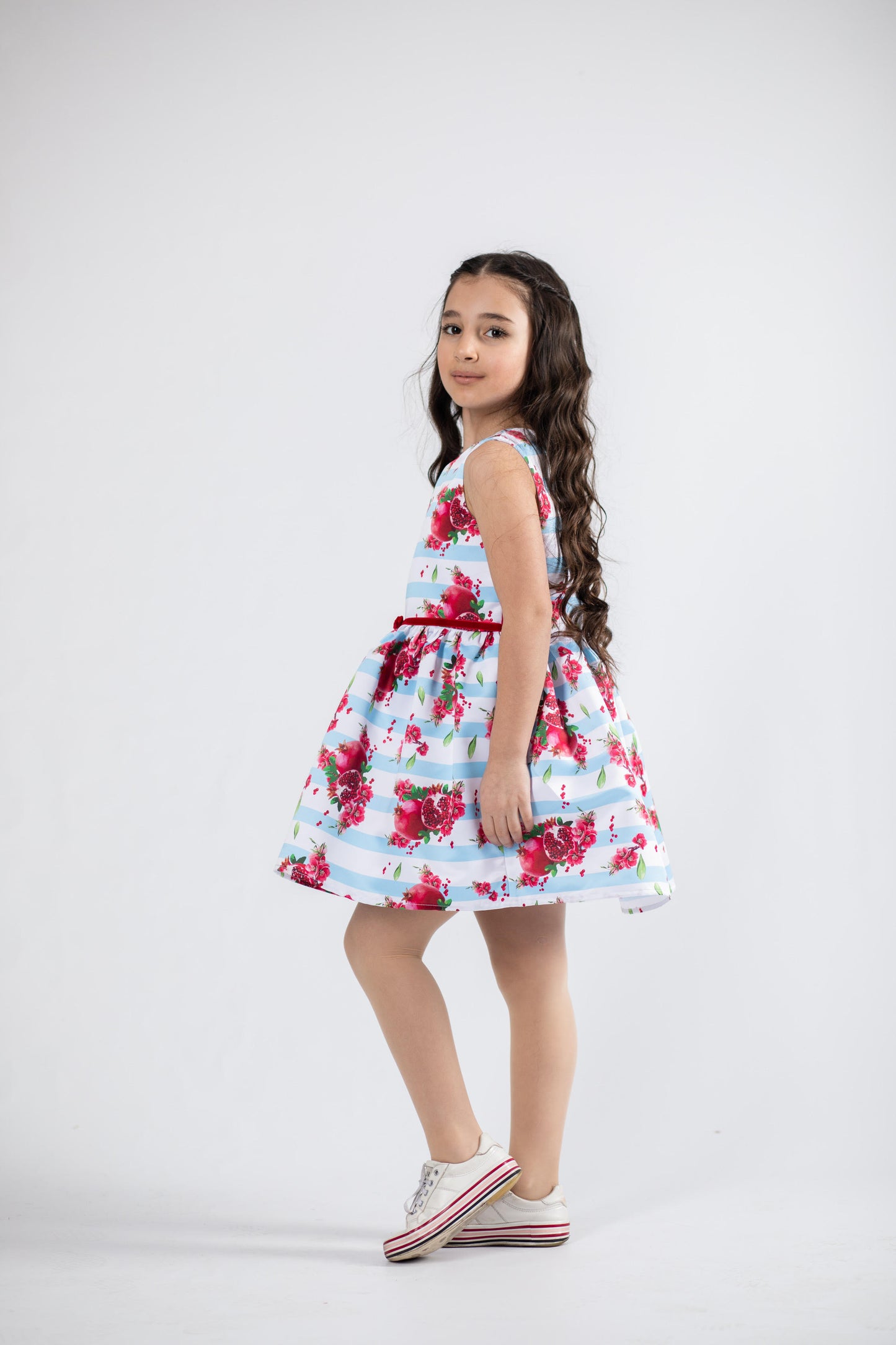 Blue Stripe Pomegranate Dress