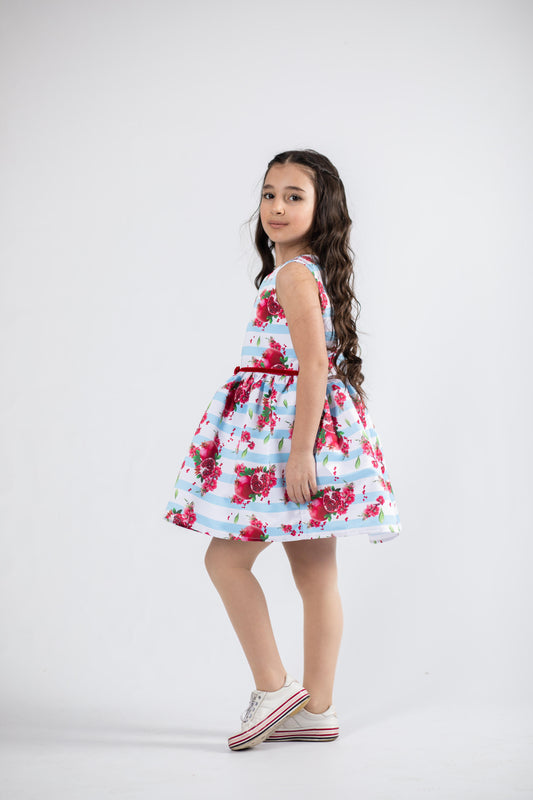 Blue Stripe Pomegranate Dress