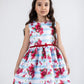 Blue Stripe Pomegranate Dress