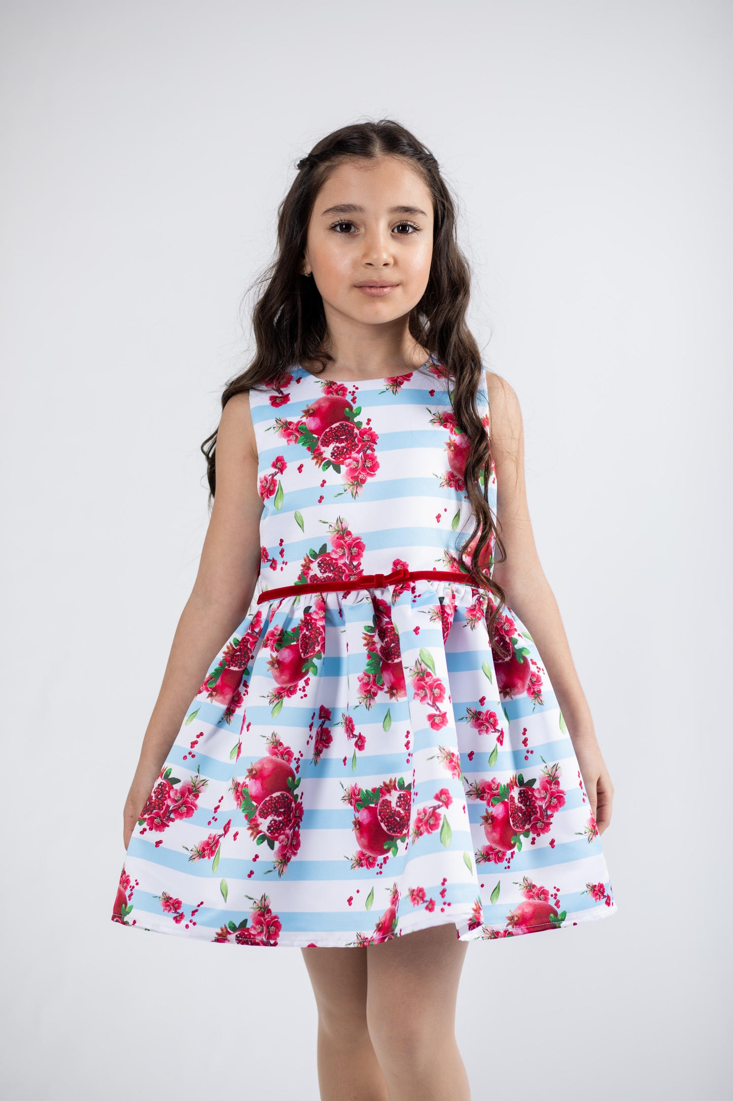 Blue Stripe Pomegranate Dress