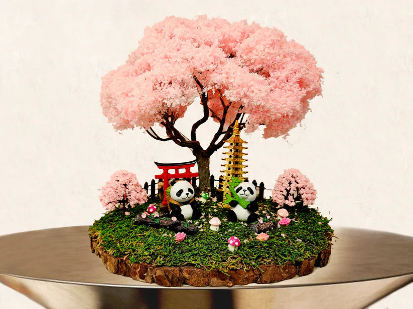 Indoor Bonsai Garden - Panda