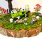 Miniature Fairy Garden - Panda