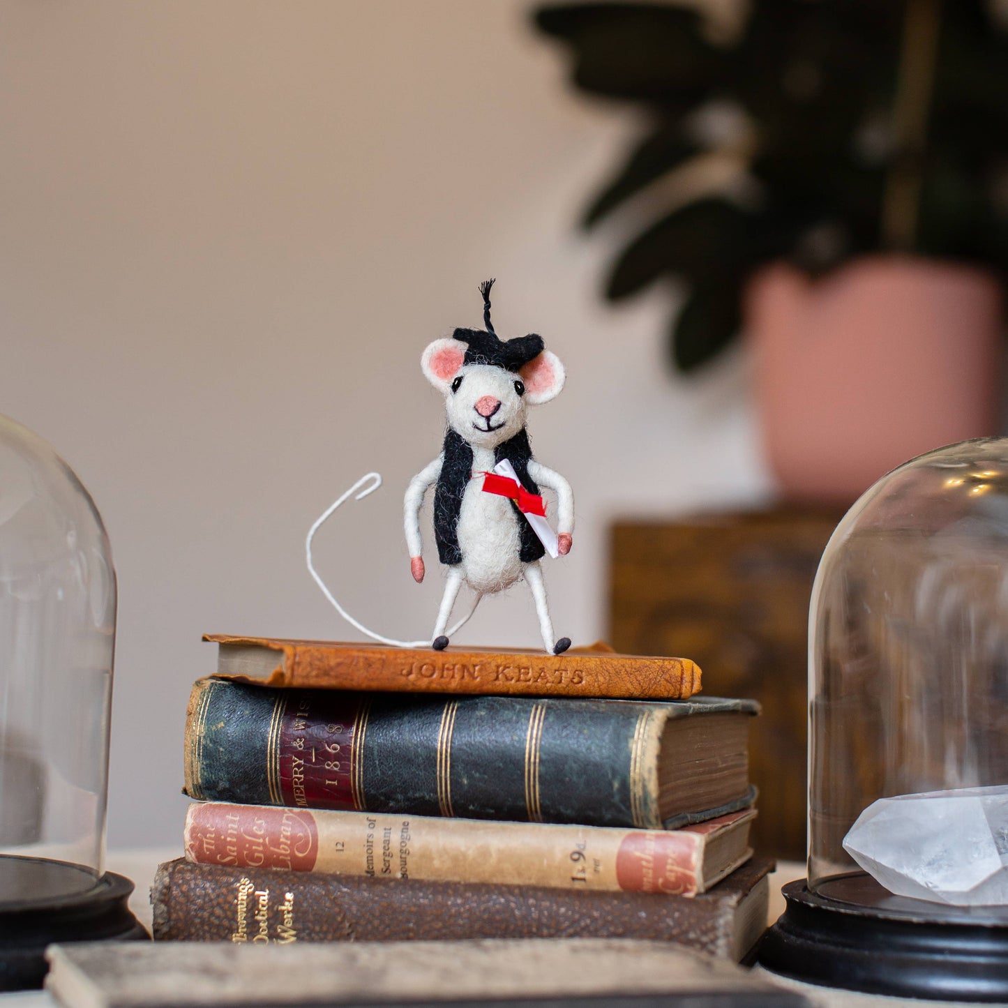 Graduation  Mouse