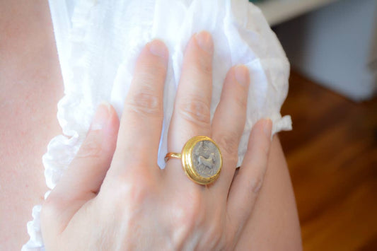 Adjustable 2 tone coin ring