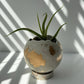 Mini-Moon 3” Pot | Sphere Planter | Ball Concrete Planter: Light Gray & Gold / Hole