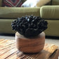 Diffuser - Carnation flower - Black color