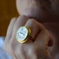 Adjustable 2 tone coin ring