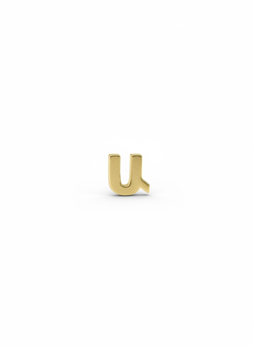 Custom Charm Holder Necklace – Armenian Alphabet Initials, Heart Charms & Personalized Name Pendant