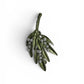 Pearl Olive Leaf Botanical Brooch Pin