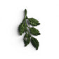 Botanical Leaf Pearl Brooch