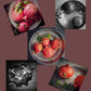 Pomegranate Series Note Cards - Lusanet Collective